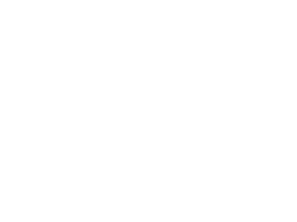 flug