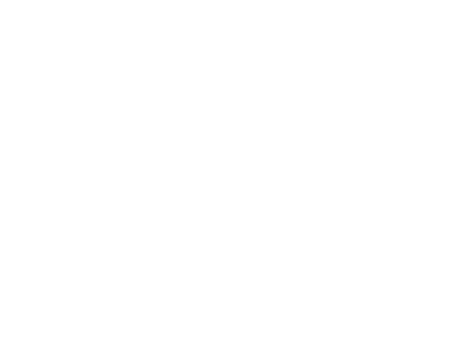 icon checkliste